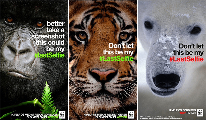 WWF’s #LastSelfie campaign