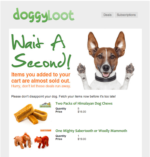DoggyLoot sends this email those customers who abandoned their carts.