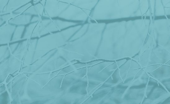 The Definitive Guide to Creating a Successful Loyalty Program