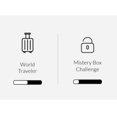 Progress tracking for challenges.