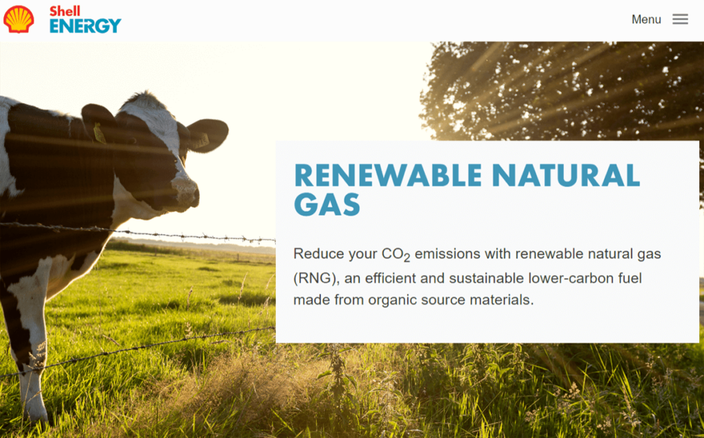 Shell continues to invest in renewable energy products
