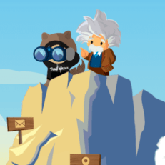 Salesforce commerce cloud.