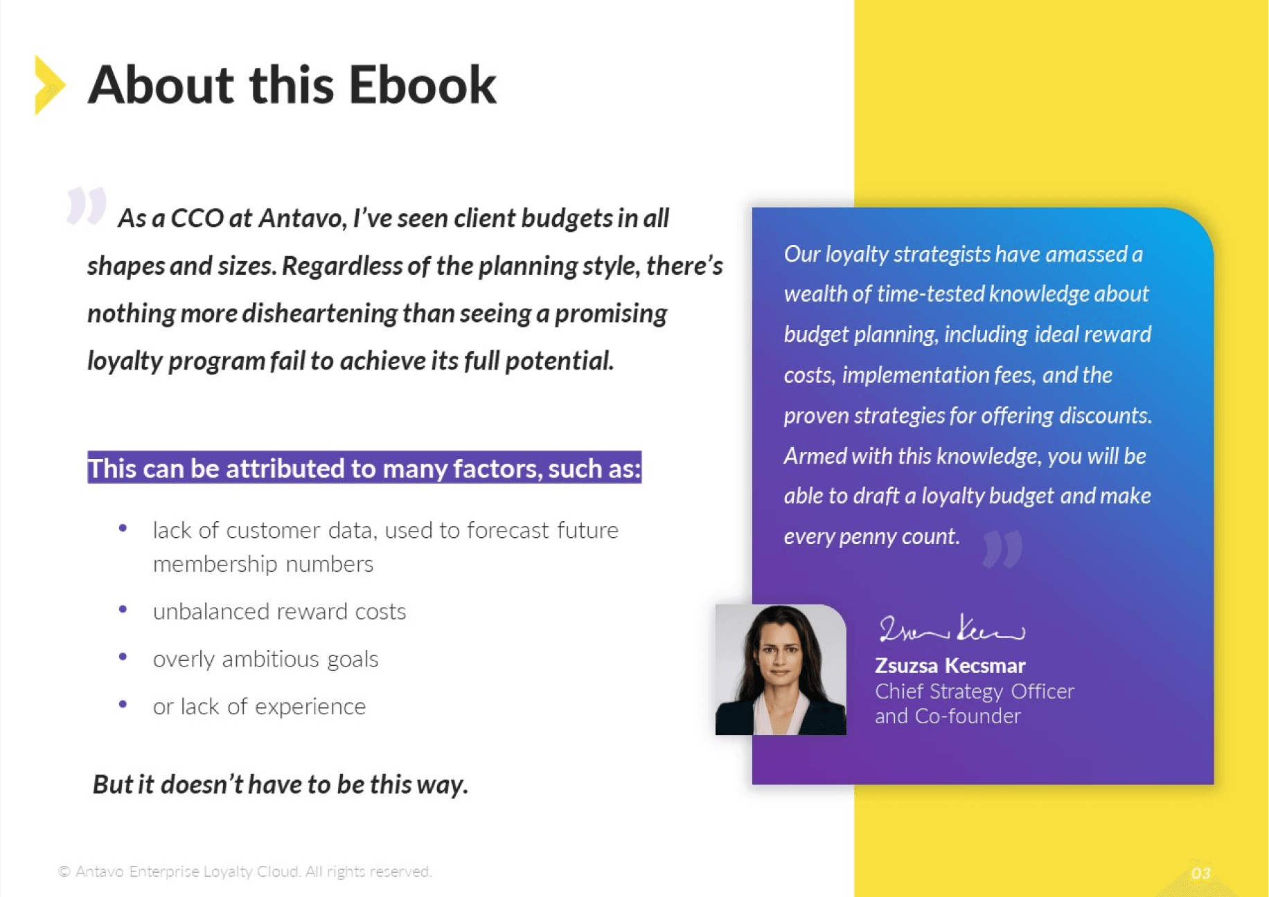 Antavo's Ebook: Budget Planning 101 for Loyalty Programs- About this Ebook.