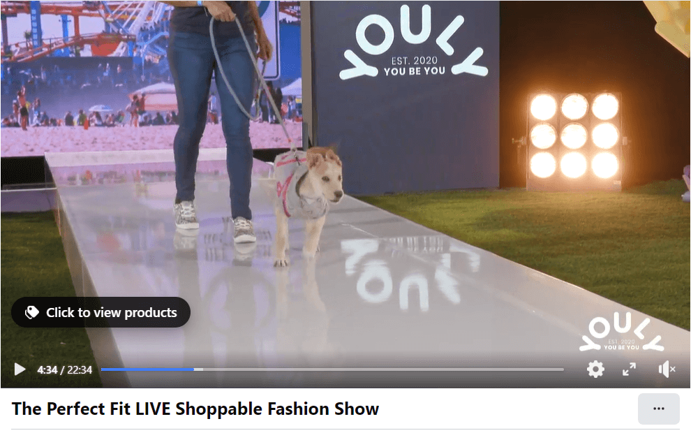 A still shot from a Petco Shoppable pet fashion snow livestream