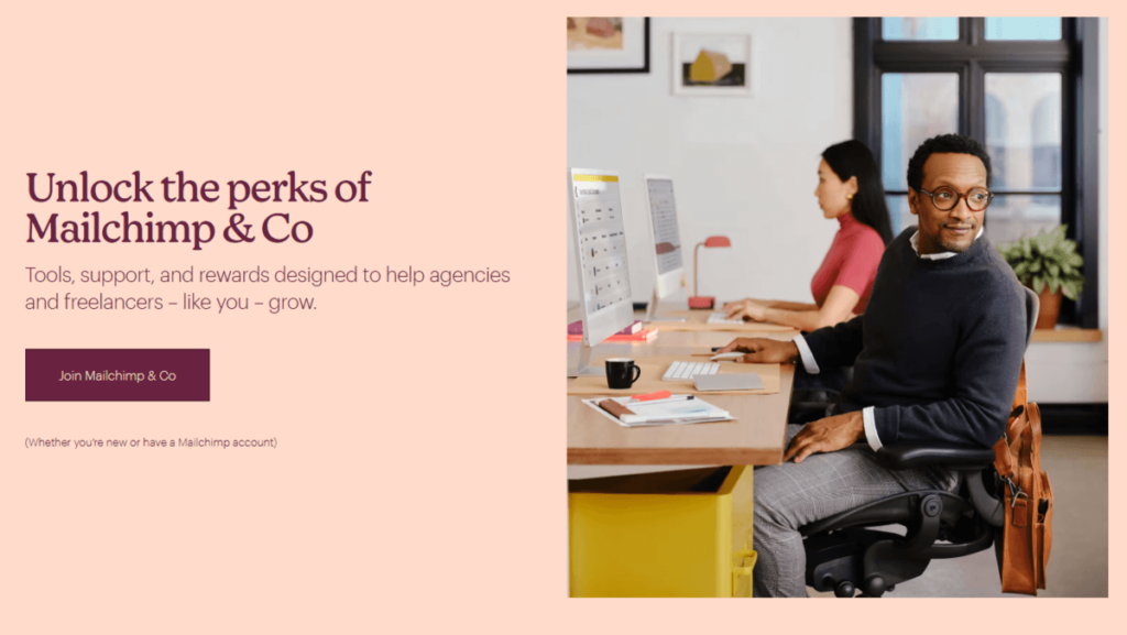 Mailchimp's b2b loyalty program desktop screenshot showcasing the main propositions